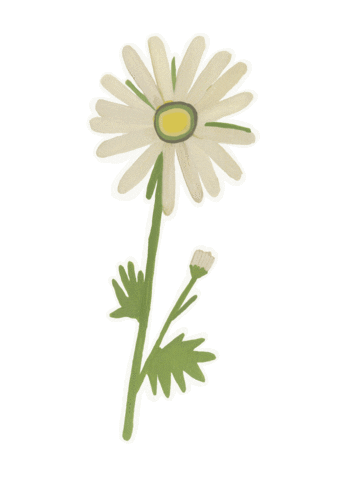 fond_vera giphyupload цветы дети школа Sticker