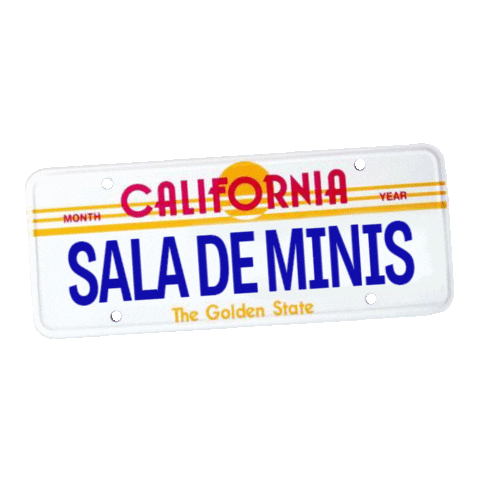 salademinis delorean salademinis felipenovoa Sticker