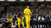 happy lets go GIF by NBA