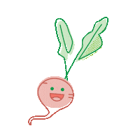 Radish Sticker by Food Literacy Center