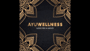 ayuwellness villa yacht cagliari menta GIF