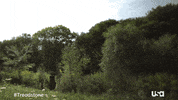 Usa Network Television GIF by Treadstone
