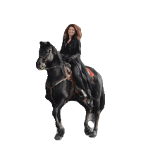 horse STICKER by imoji