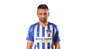 happy football Sticker by Hertha BSC