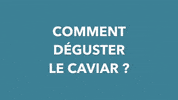 caviar luxe GIF by Petrossian