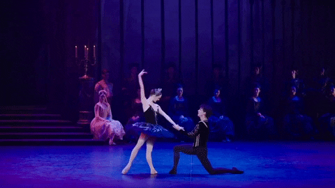 Swanlake GIF by English National Ballet