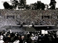 Michael Jackson GIF