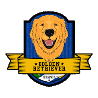 goldenretrieverbrasil golden retriever grb goldenret Sticker