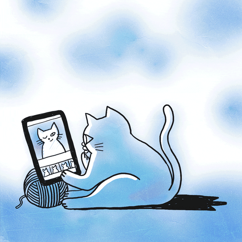 instagram kitty GIF