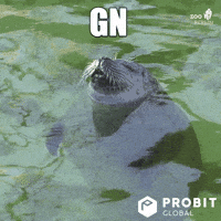 Sleepy Water GIF by ProBit Global