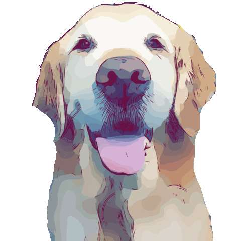 Happy Golden Retriever Sticker
