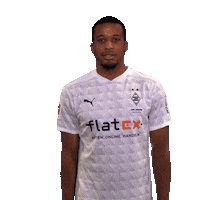 Alassane Plea Diefohlen Sticker by Borussia Mönchengladbach