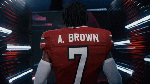 Lets Go Football GIF by gamecocksonline