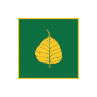 Leaf Peepal Sticker by Umesh Maharjan
