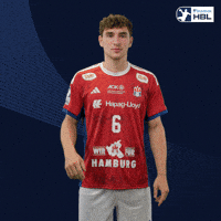 Handball Hamburg GIF by DAIKIN HBL