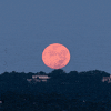 Full Moon Texas GIF
