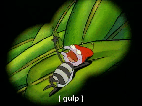 rockos modern life nicksplat GIF