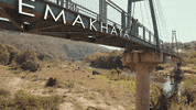 At Home Growth GIF by Sony Music Africa