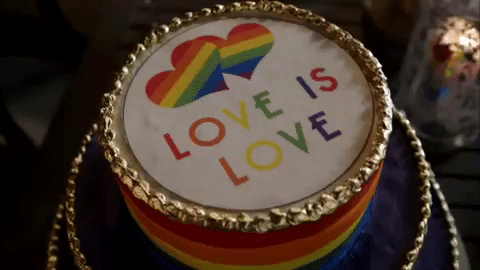 marriage equality love GIF by Workaholics