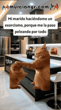 Amigos Saludos GIF by Murcianys LLC