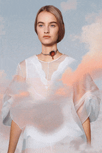 falconmagazine falcongif falconmagazine GIF