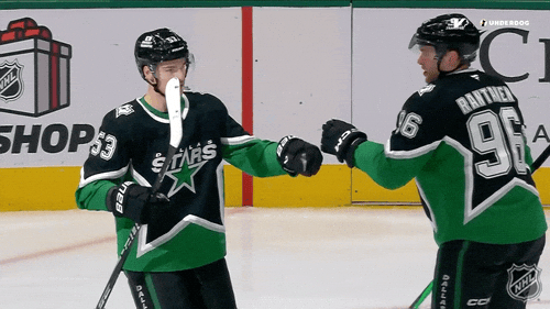 Happy National Hockey League GIF by NHL