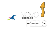 Novo Reels Sticker by CRECI GO