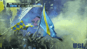las vegas soccer GIF by USL
