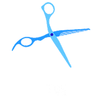 Hair Makeup Sticker by Expo Beauty Show