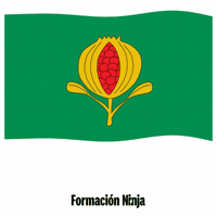Flag Spain GIF by Formación Ninja
