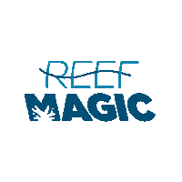 Great Barrier Reef Magic Sticker by Experience Co