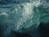 You Can Wow GIF by FranchiseONE.de