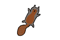 Fall Autumn Sticker