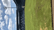 svww_official brita rasen svww sv wehen wiesbaden GIF