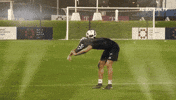 robert lewandowski ball GIF by FC Bayern Munich