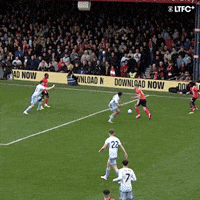 Premier League Football GIF by Luton Town FC