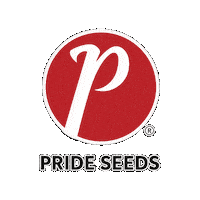 PRIDEseeds  Sticker