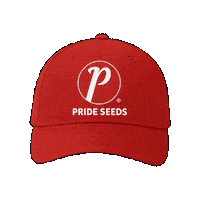 PRIDEseeds  Sticker