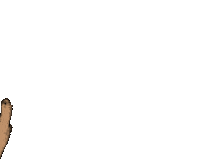 Animation Love Sticker by Mermaid_Lux