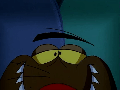 angry beavers nicksplat GIF