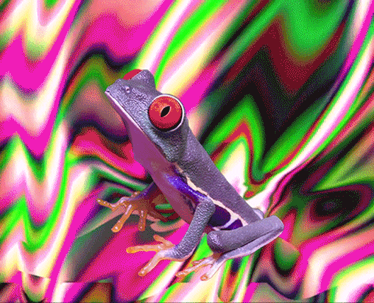 GIF by Canek