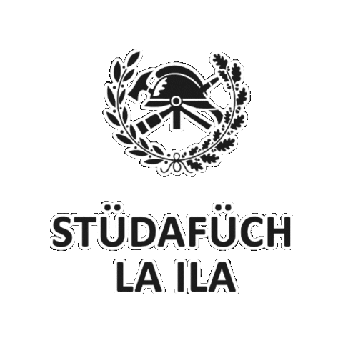 suche arbeit südtirol