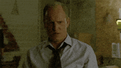 True Detective No GIF