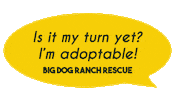 Bdrr Sticker by Big Dog Ranch Rescue