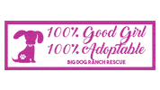 Good Boy Sticker by Big Dog Ranch Rescue