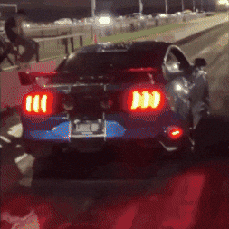 dragonsbreath dragons quiet breath mustang GIF