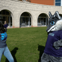 Saint Louis Education GIF by St. Louis Community College