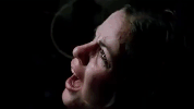 tobe hooper horror GIF