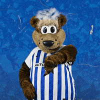 Bundesliga Berlin GIF by Hertha BSC