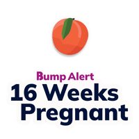 Pregnancy Expecting Sticker by The Bump